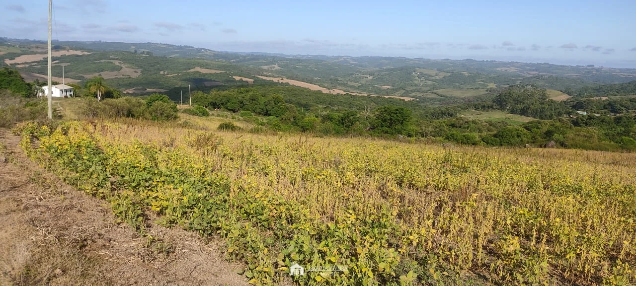 Imagem de Campo para agropecuária e reflorestamento
