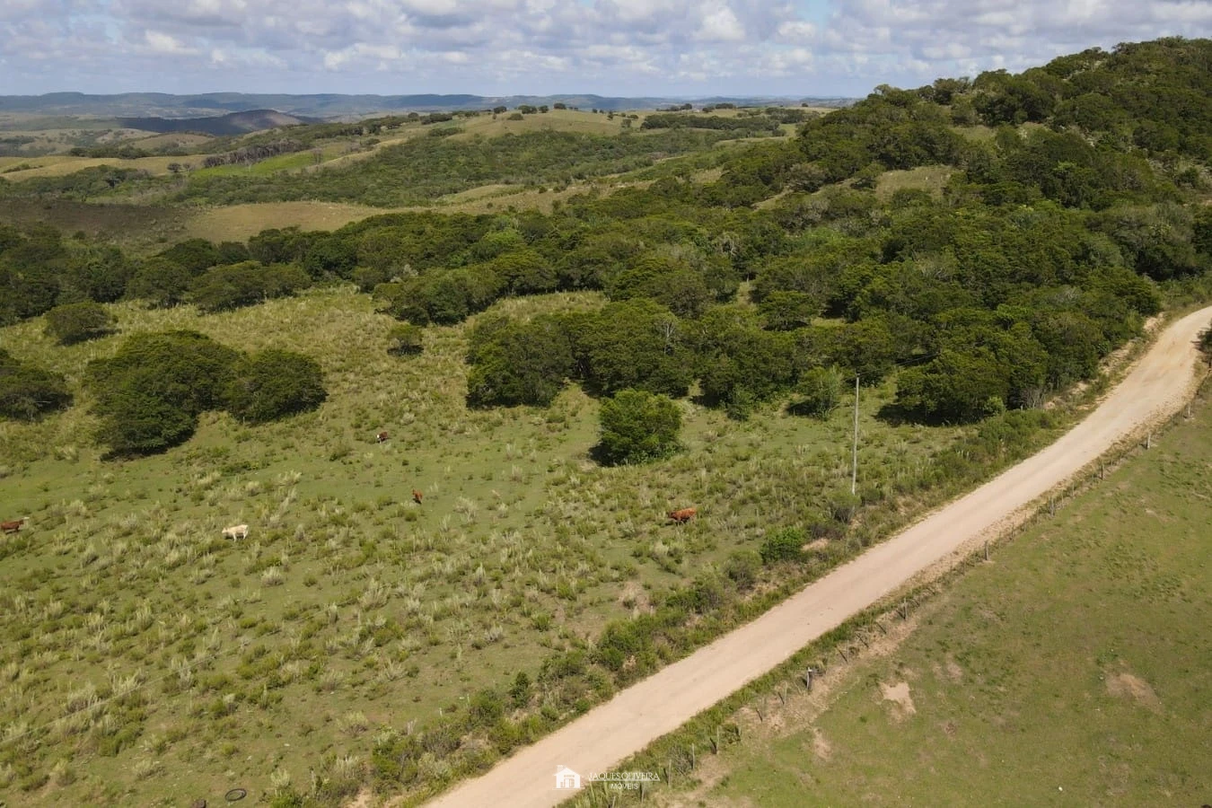 Imagem de 20ha Boa Vista Terceiro Distrito