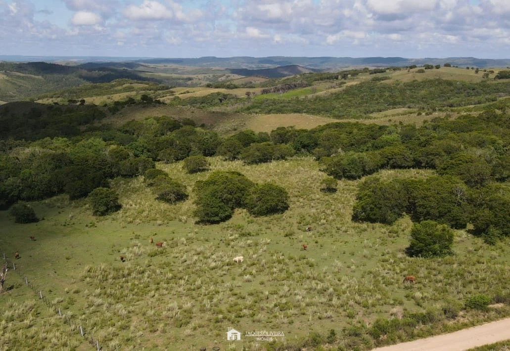 Imagem de 20ha Boa Vista Terceiro Distrito