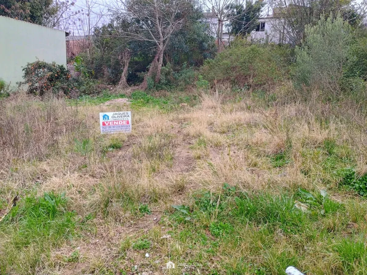Imagem de Terreno para investimento