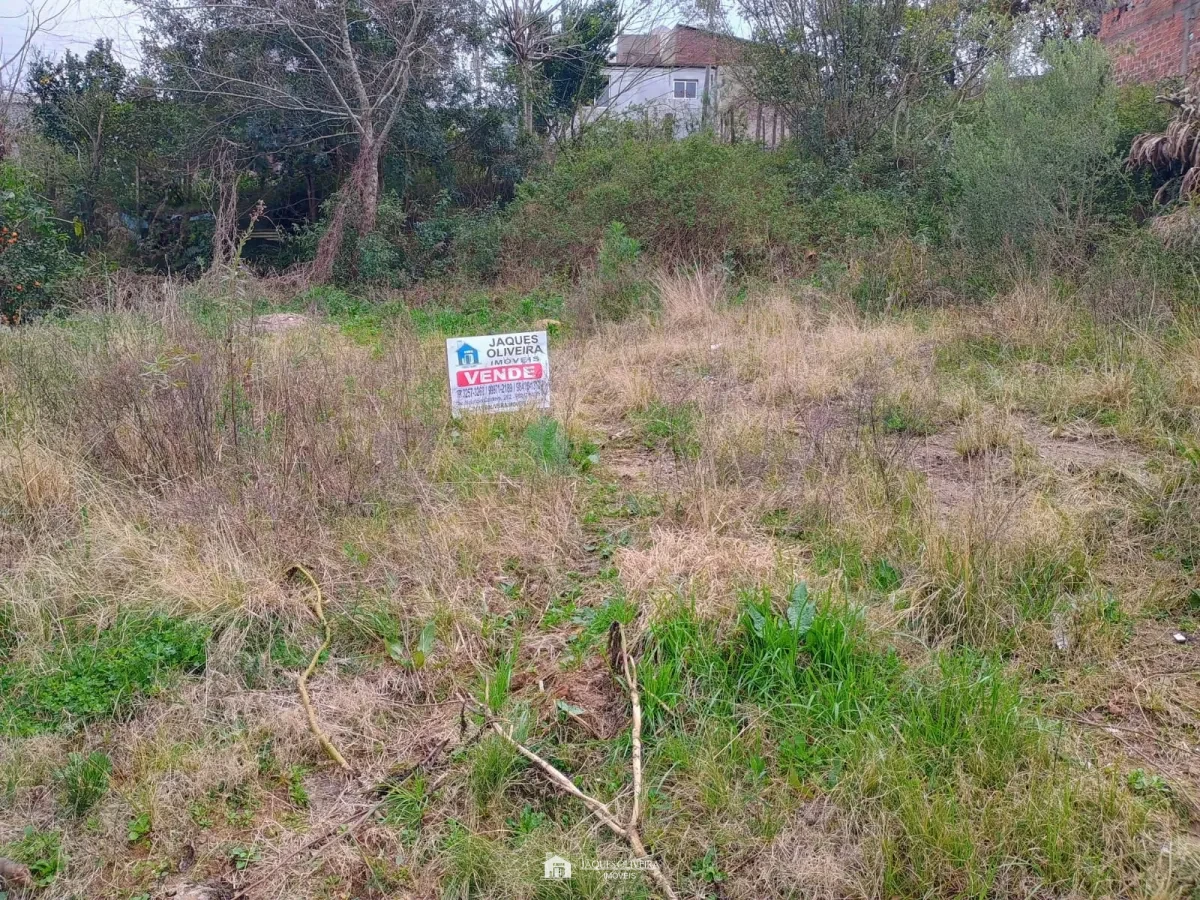 Imagem de Terreno para investimento
