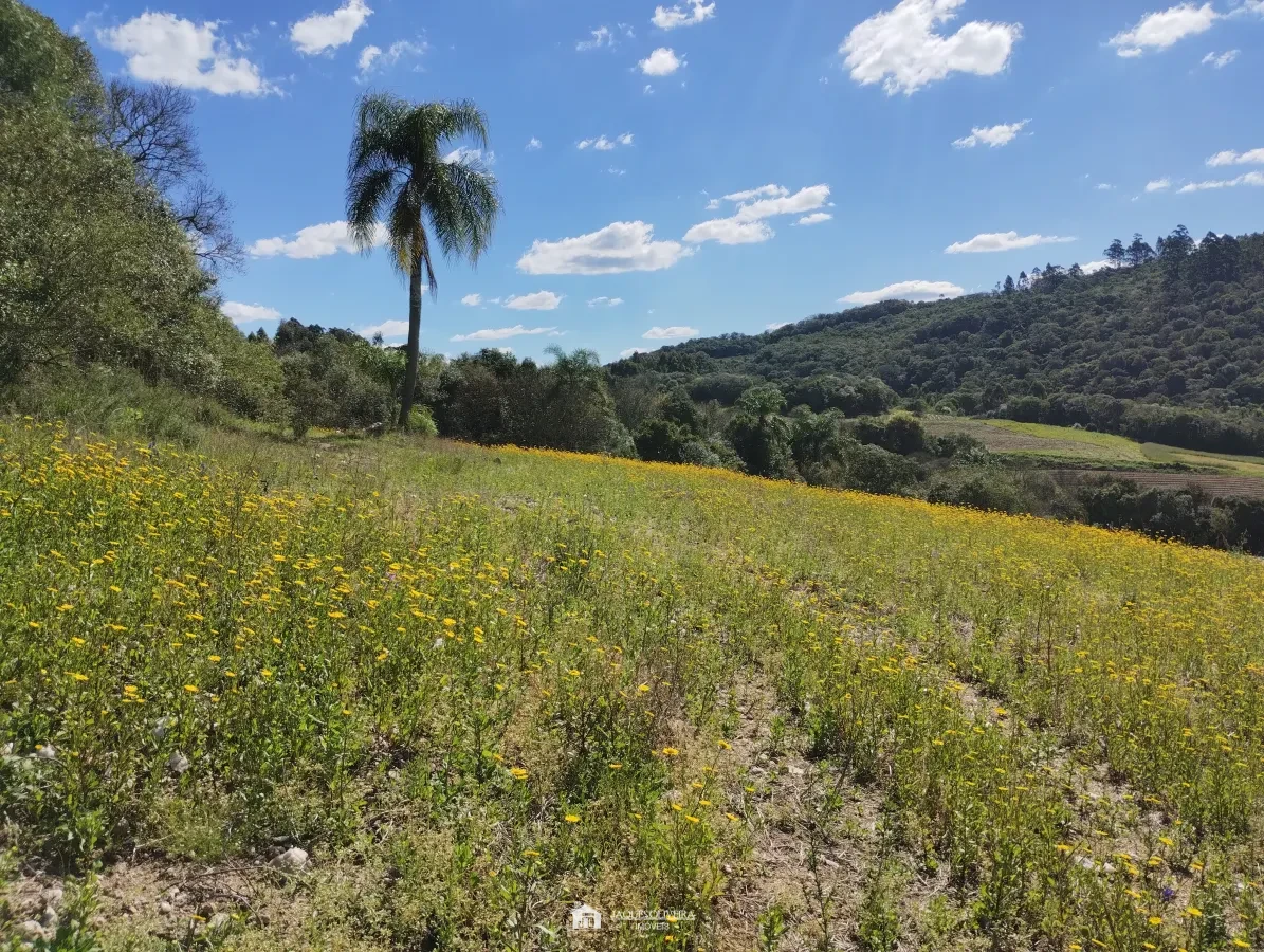 Imagem de Chácara de 5,50ha, galpão.