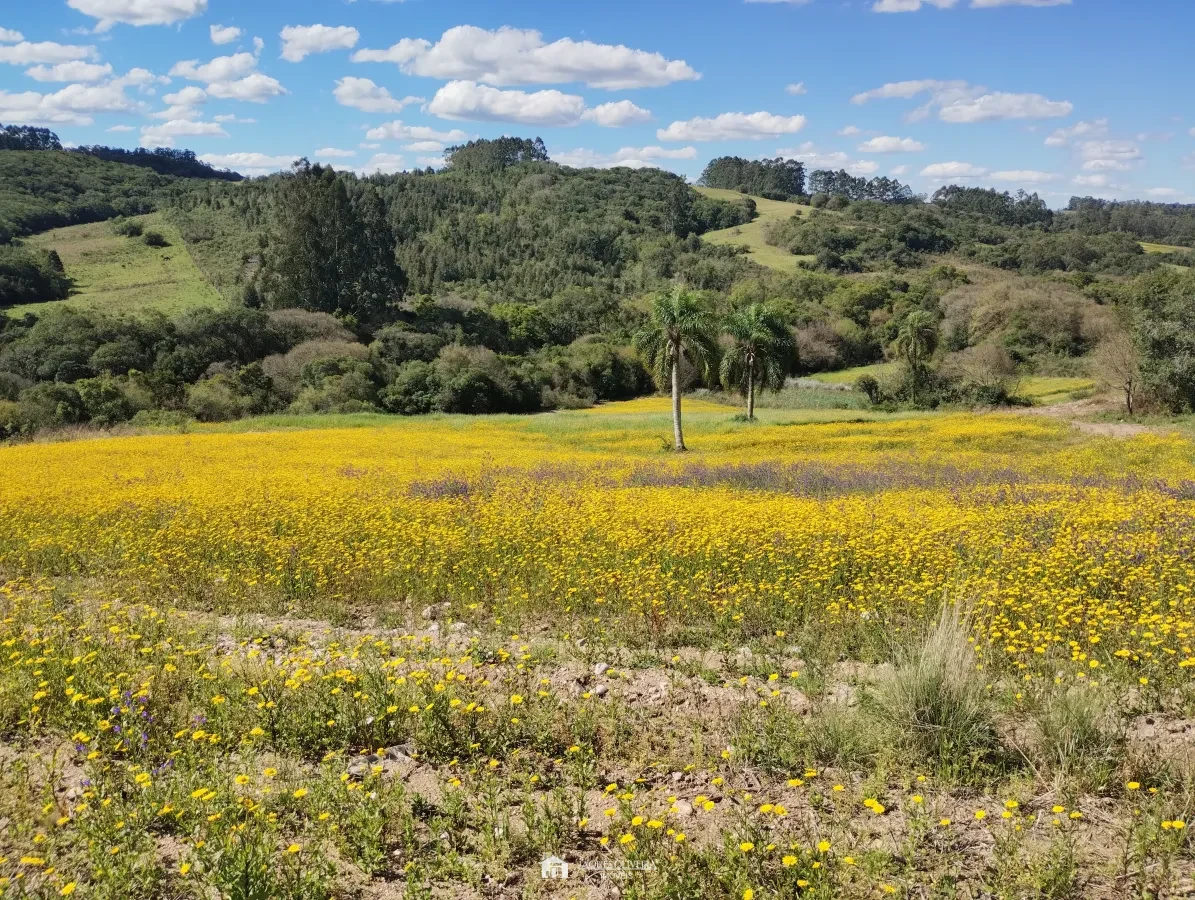 Imagem de Chácara de 5,50ha, galpão.