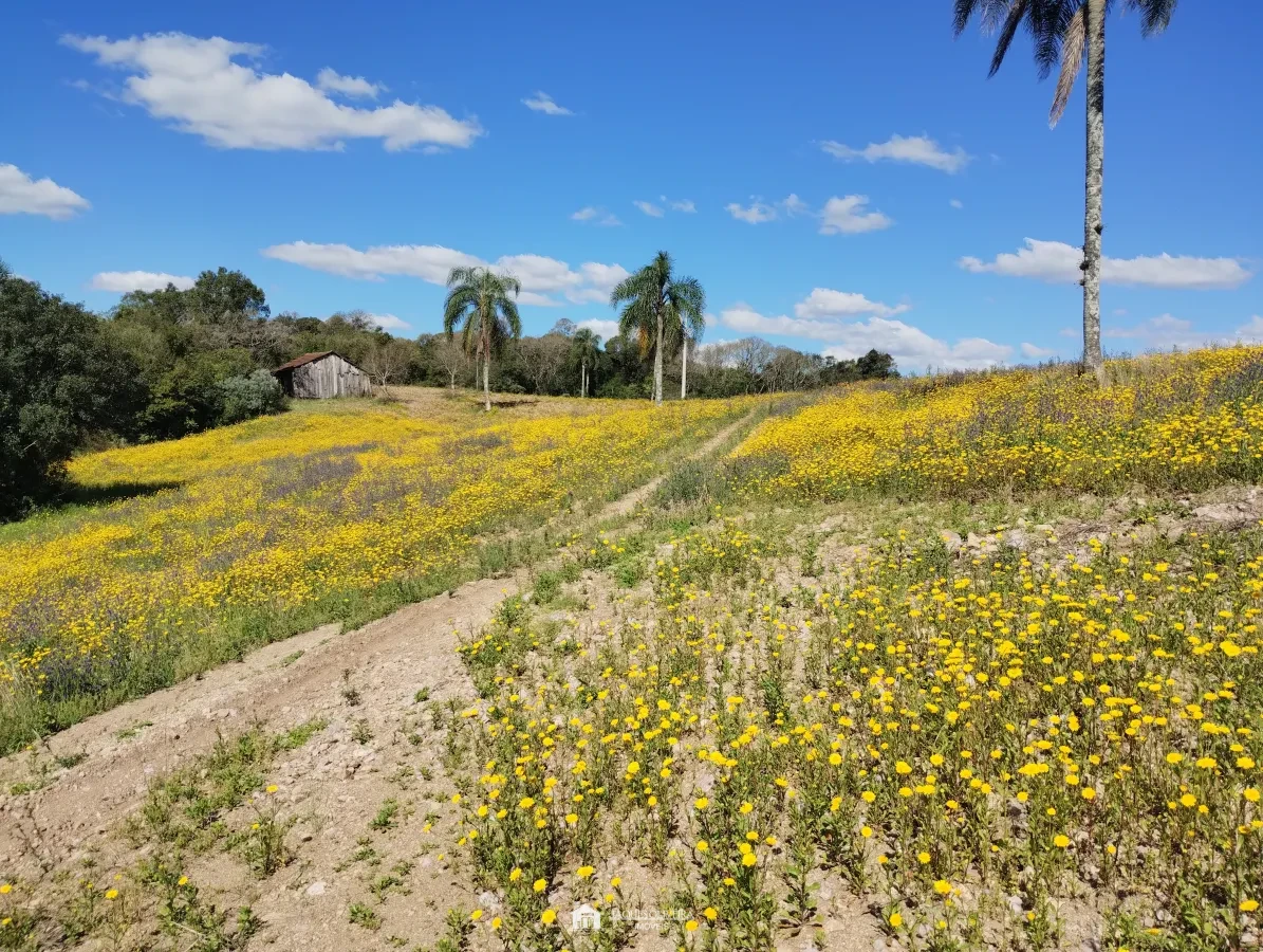 Imagem de Chácara de 5,50ha, galpão.