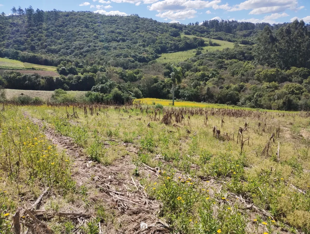 Imagem de Chácara de 5,50ha, galpão.