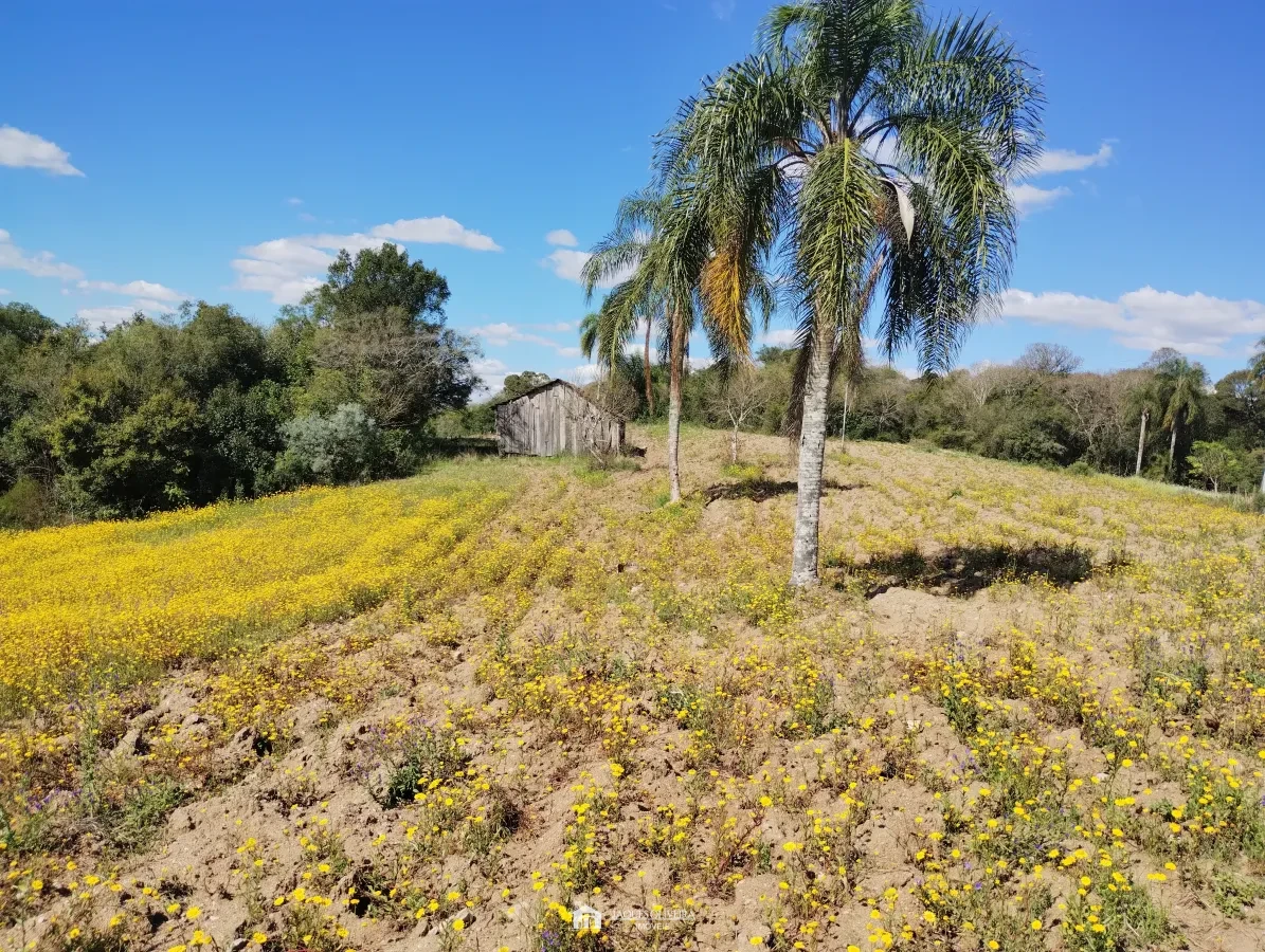 Imagem de Chácara de 5,50ha, galpão.