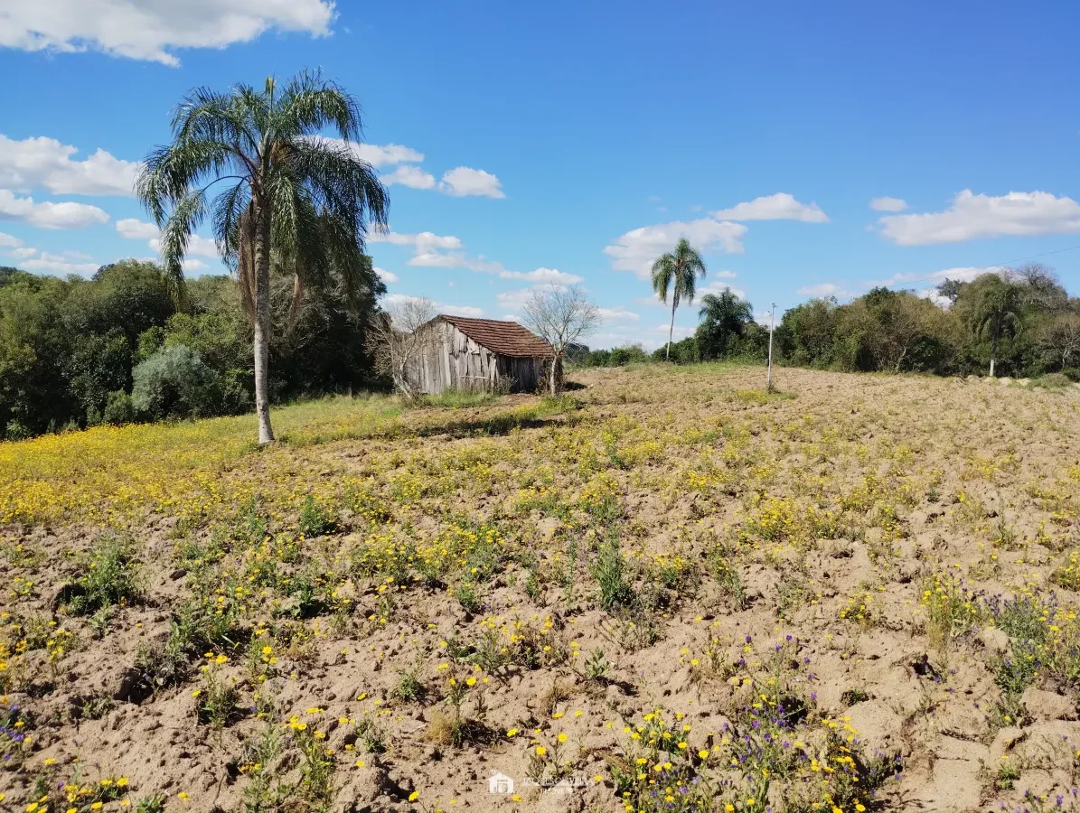 Imagem de Chácara de 5,50ha, galpão.