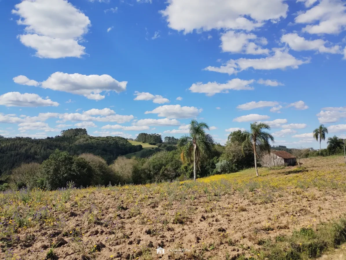 Imagem de Chácara de 5,50ha, galpão.