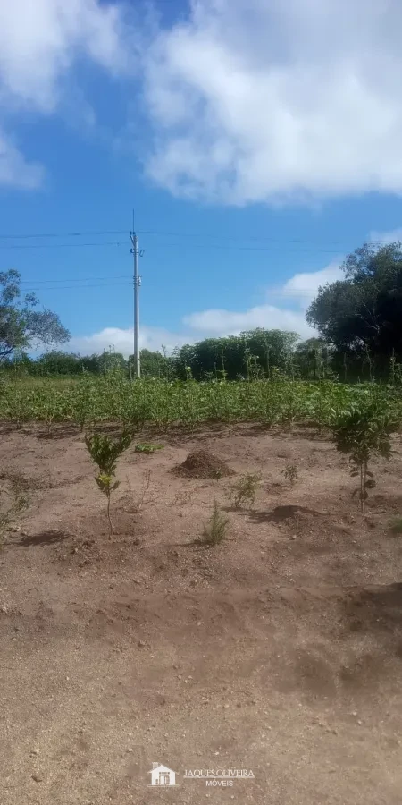 Imagem de ÁREA RURAL