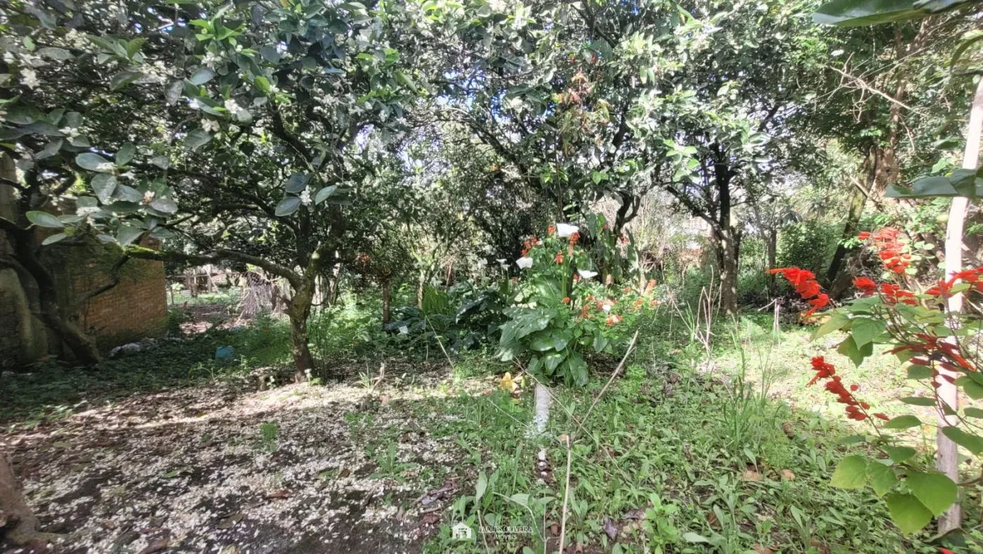 Imagem de Casa com Terreno Amplo