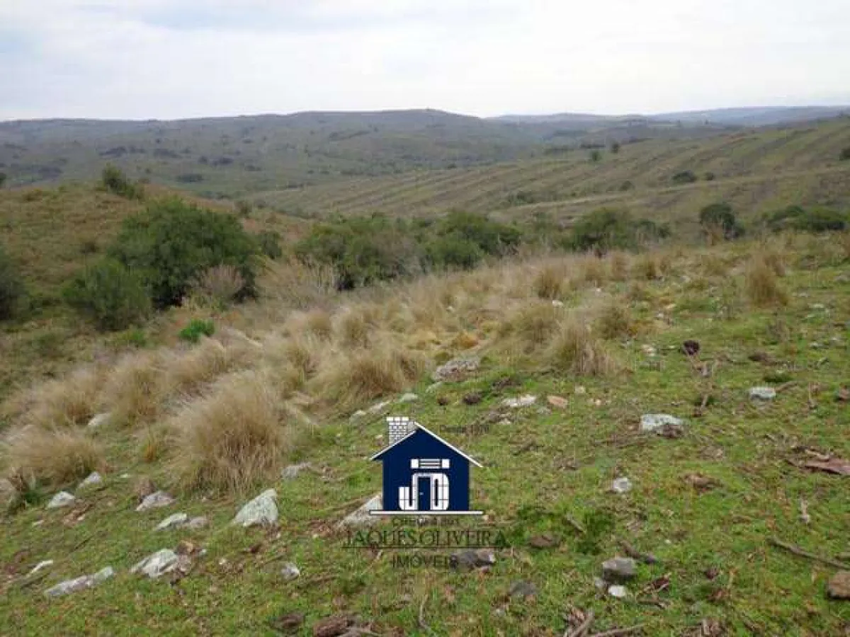 Imagem de Otimo área rural