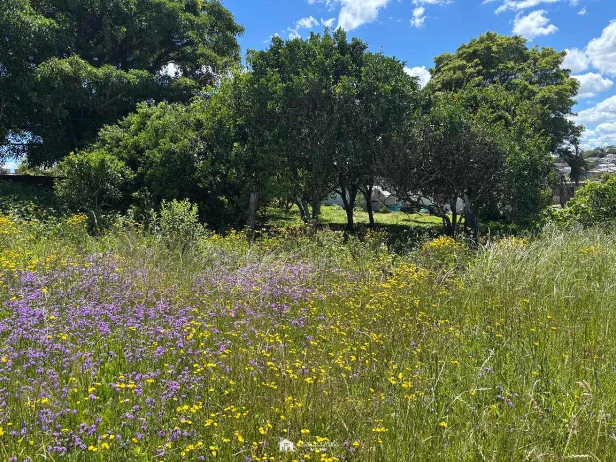 Imagem de Duas Casas com Terreno Amplo