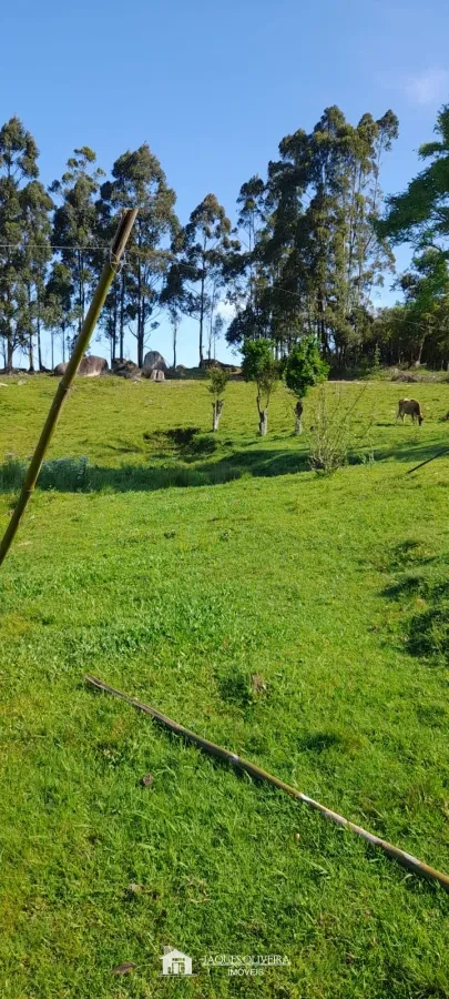 Imagem de Sítio em boa localização