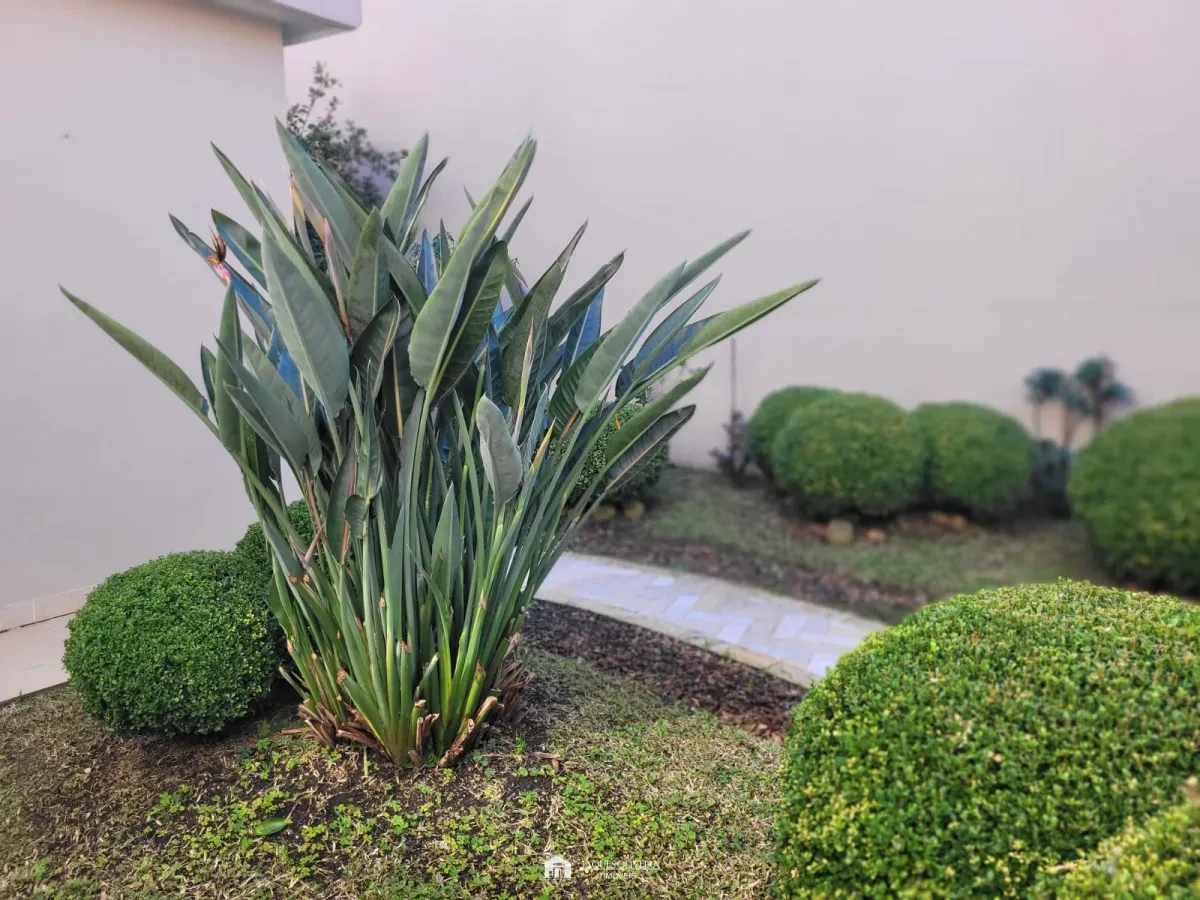 Imagem de Casa de alto padrão na zona nobre da cidade