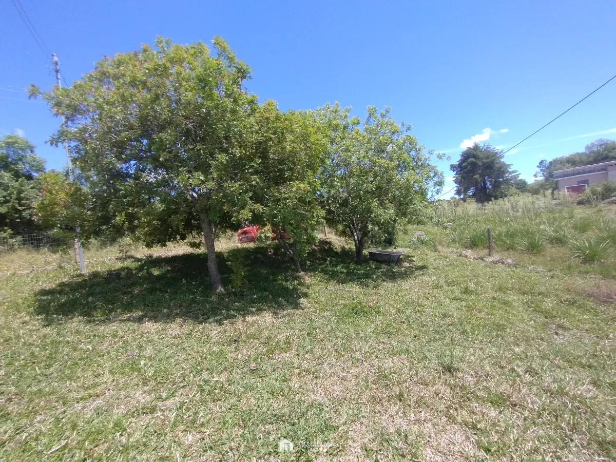 Imagem de Área rural de 1ha  com casa.