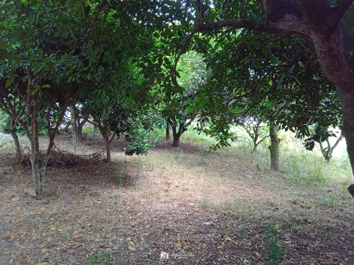 Imagem de Terreno área central