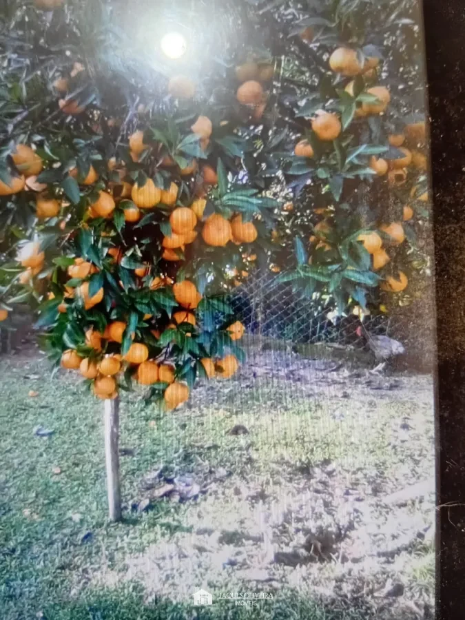 Imagem de Sítio com duas Casas