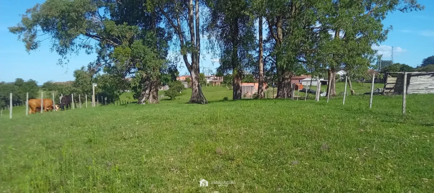 Imagem de Casa em Ótima Localização