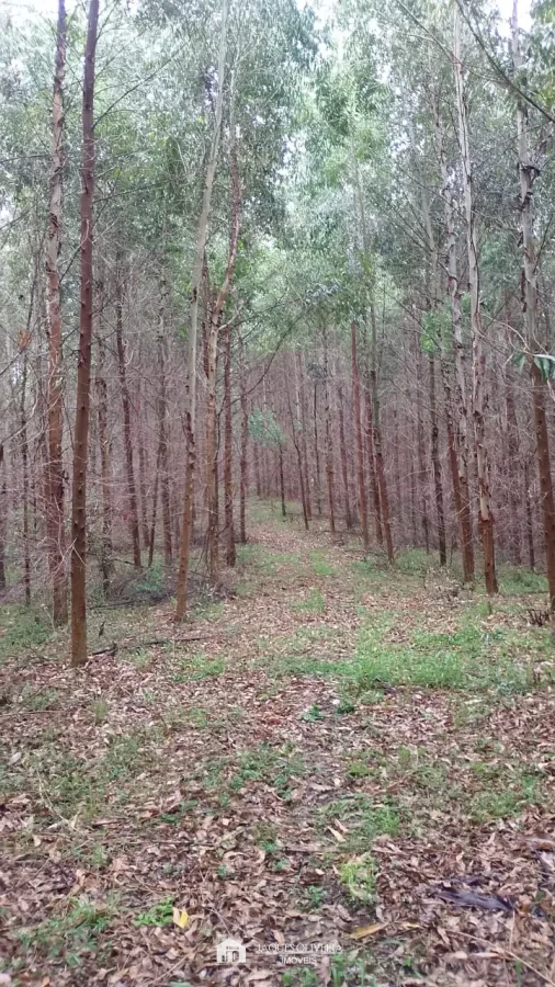 Imagem de Oportunidade ótima para investimento