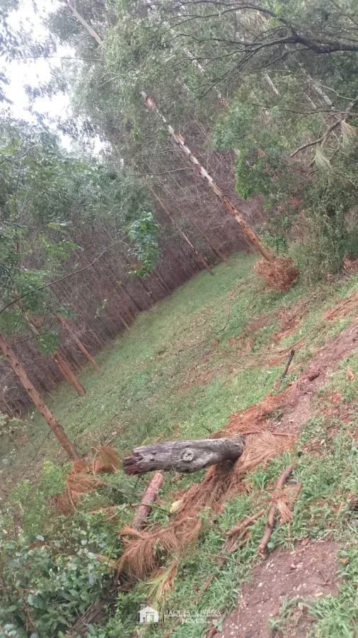 Imagem de Oportunidade ótima para investimento