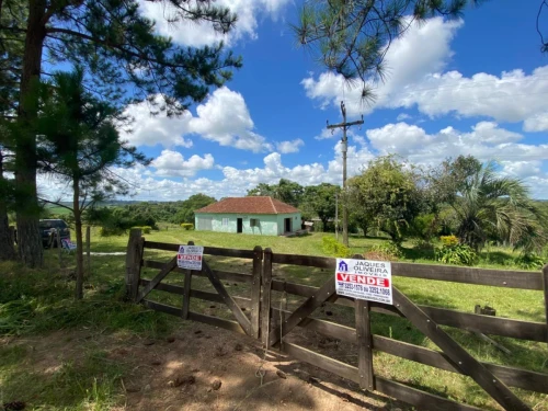 Imagem de CAMPO PARA PECUÁRIA  E CULTIVO DE FUMO