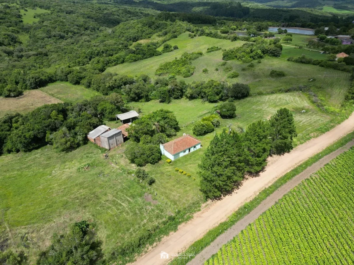 CAMPO PARA PECUÁRIA  E CULTIVO DE FUMO - Zona Rural - 2° Disrito, Canguçu [3839]