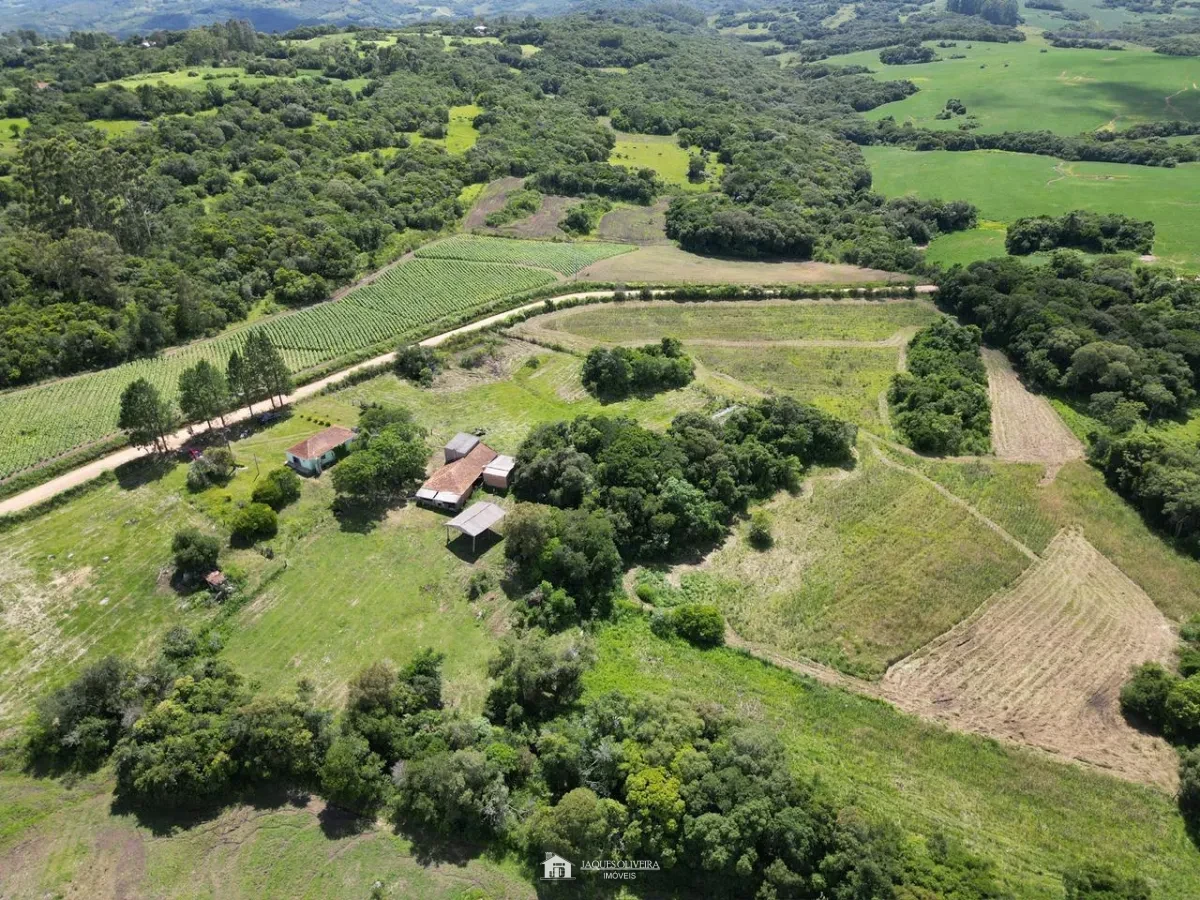 CAMPO PARA PECUÁRIA  E CULTIVO DE FUMO - Zona Rural - 2° Disrito, Canguçu [3839]