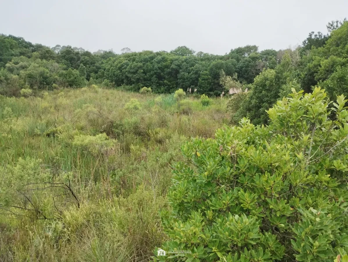 Chácara pertinho da cidade! - Zona Rural - 1° Disrito, Canguçu [3840]