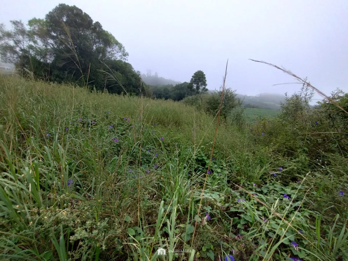 Chácara pertinho da cidade! - Zona Rural - 1° Disrito, Canguçu [3840]