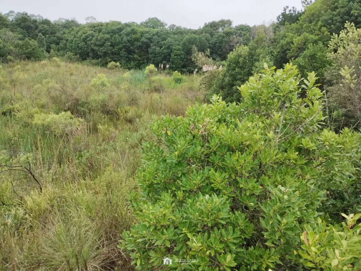 Chácara pertinho da cidade! - Zona Rural - 1° Disrito, Canguçu [3840]