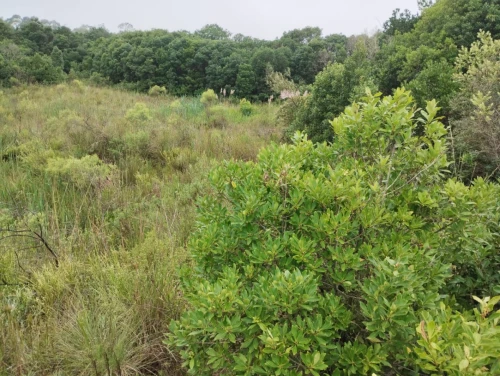 Imagem de Chácara pertinho da cidade!