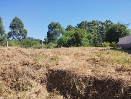 Imagem de Oportunidade Rara!