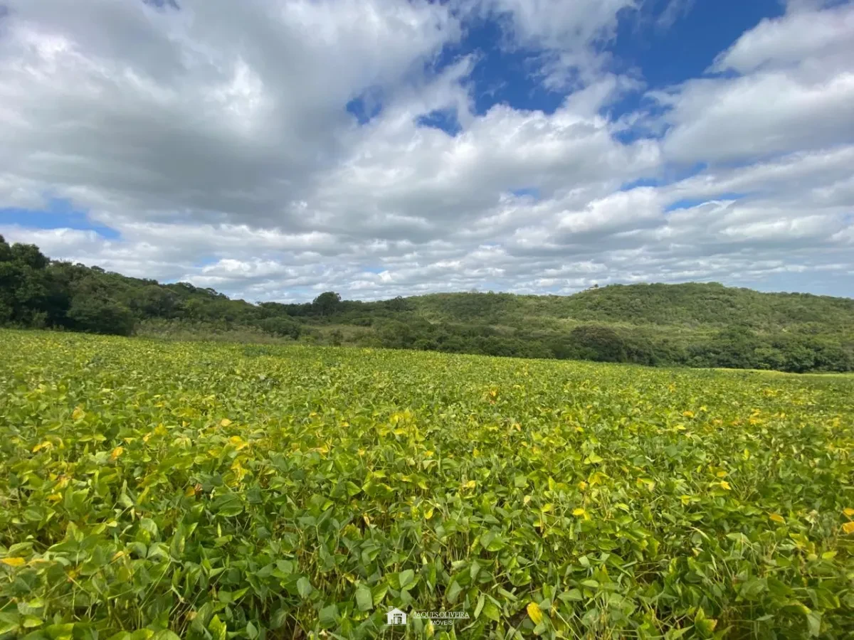 Chácara Ideal para Descansar e produzir - Zona Rural - 4° Disrito, Canguçu [3851]