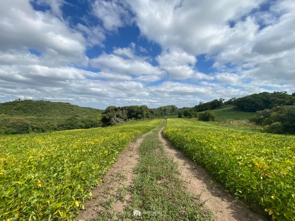 Chácara Ideal para Descansar e produzir - Zona Rural - 4° Disrito, Canguçu [3851]