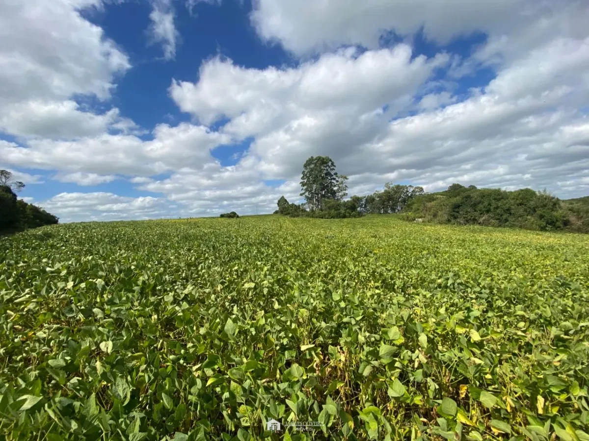 Chácara Ideal para Descansar e produzir - Zona Rural - 4° Disrito, Canguçu [3851]