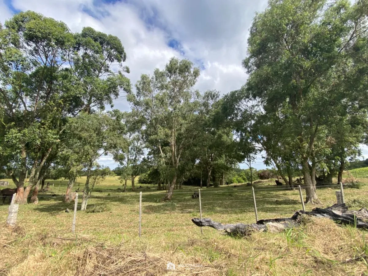 Chácara Ideal para Descansar e produzir - Zona Rural - 4° Disrito, Canguçu [3851]