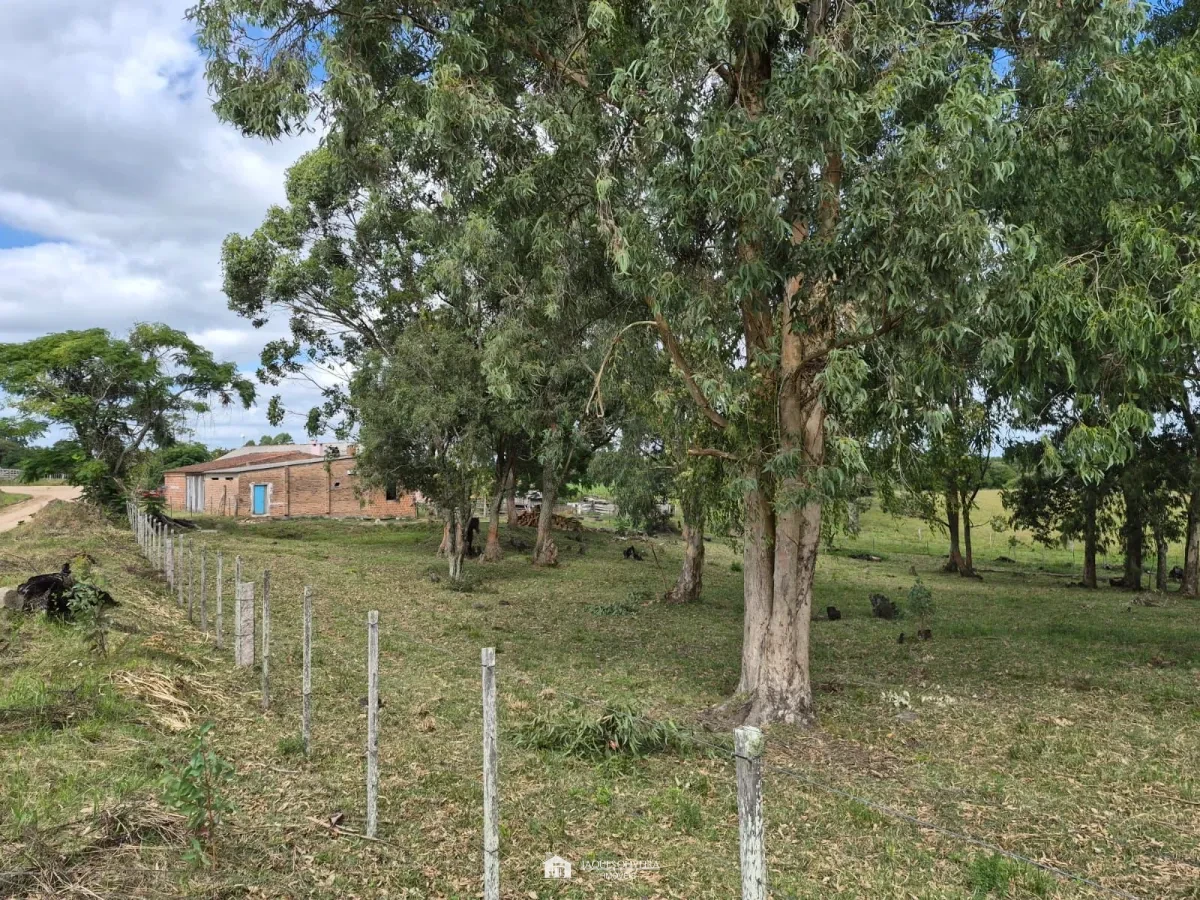 Chácara Ideal para Descansar e produzir - Zona Rural - 4° Disrito, Canguçu [3851]