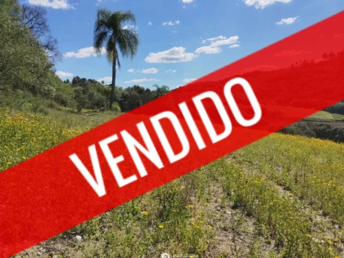 Imagem de Chácara de 5,50ha, galpão.