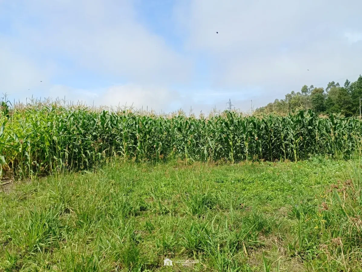 Seu Refúgio no Campo Espera por Você - Zona Rural - 1° Disrito, Canguçu [3860]