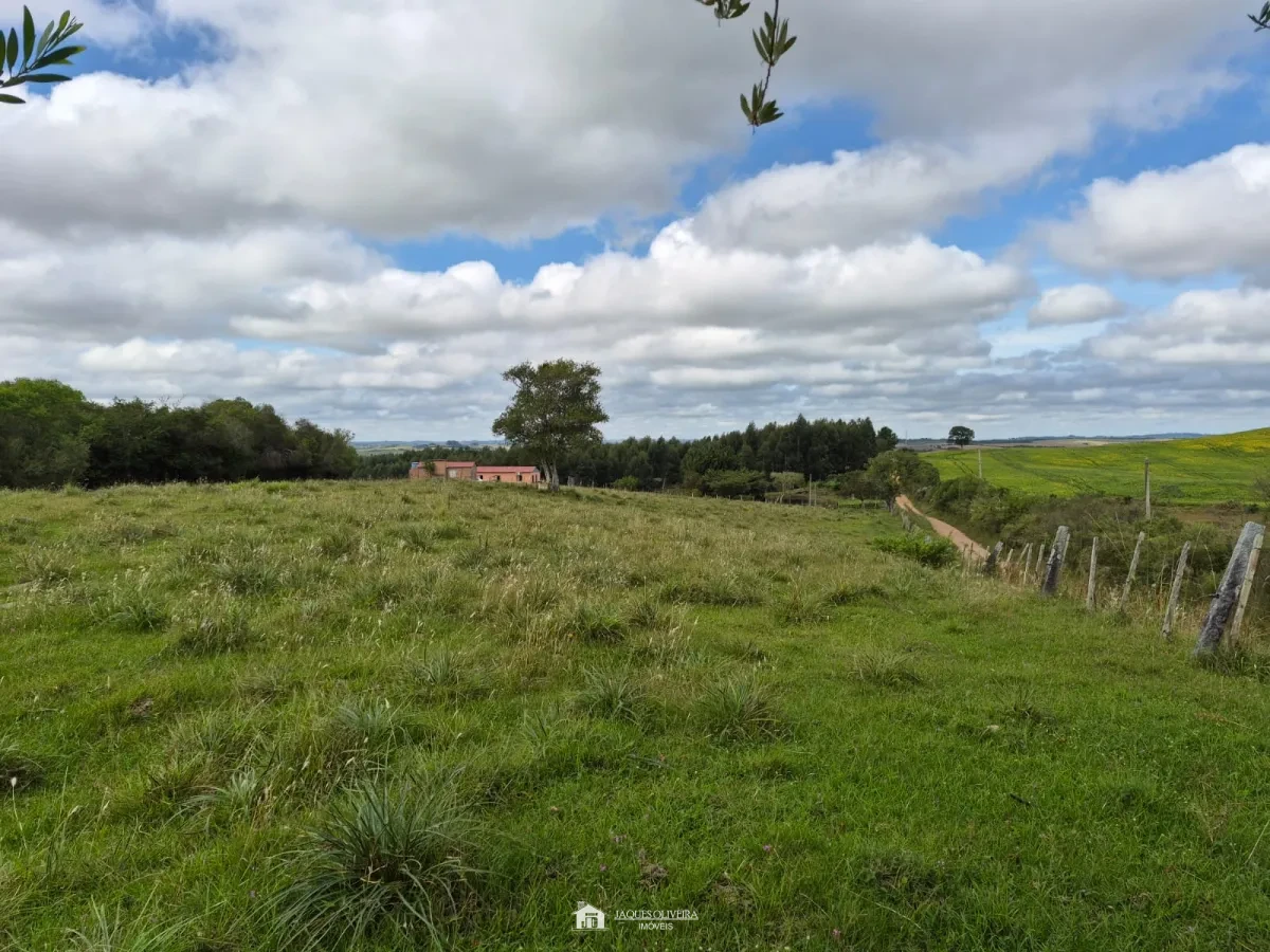 Excelente Área Rural à Venda - Zona Rural - 3° Disrito, Canguçu [3867]