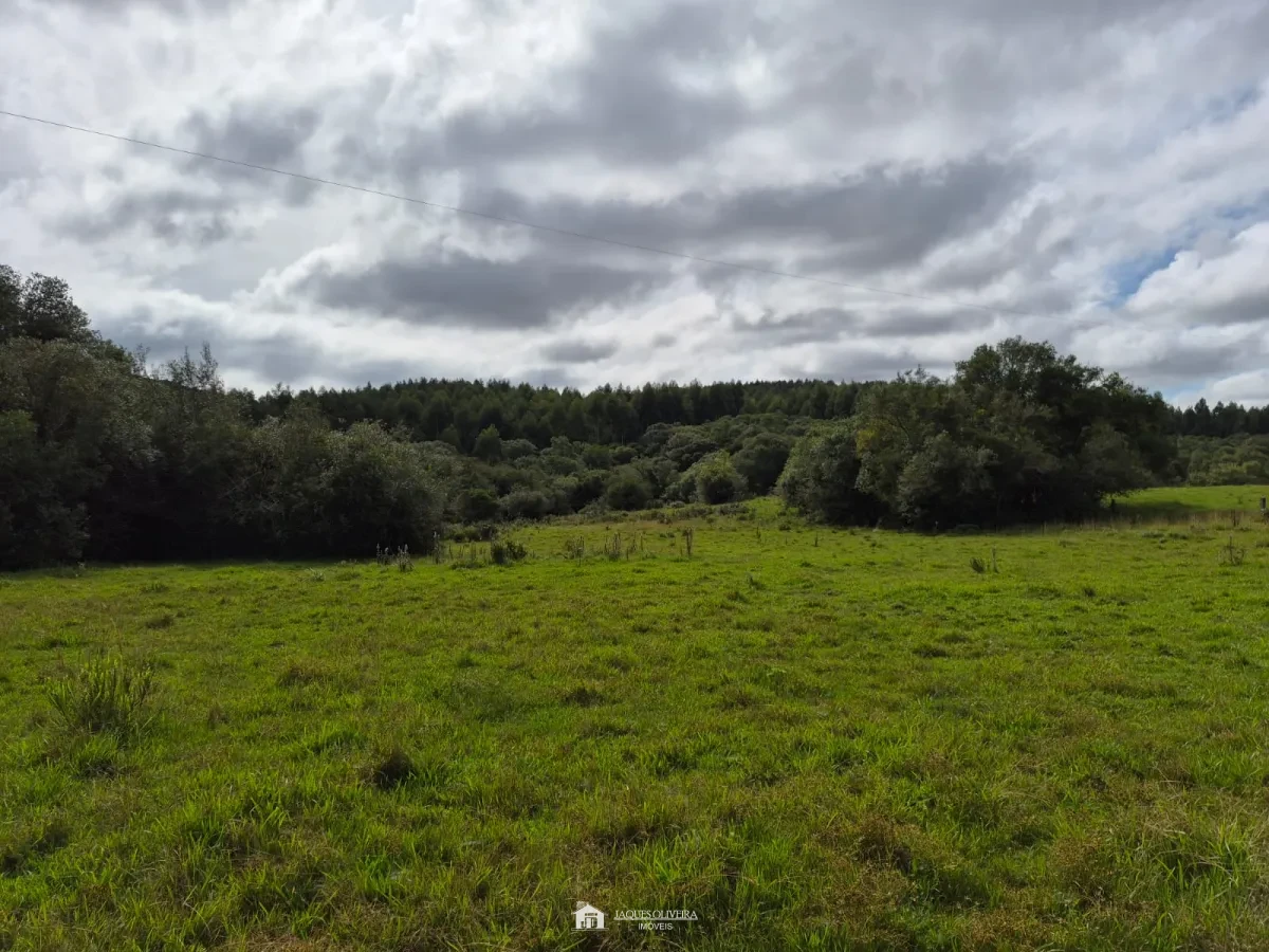 Excelente Área Rural à Venda - Zona Rural - 3° Disrito, Canguçu [3867]