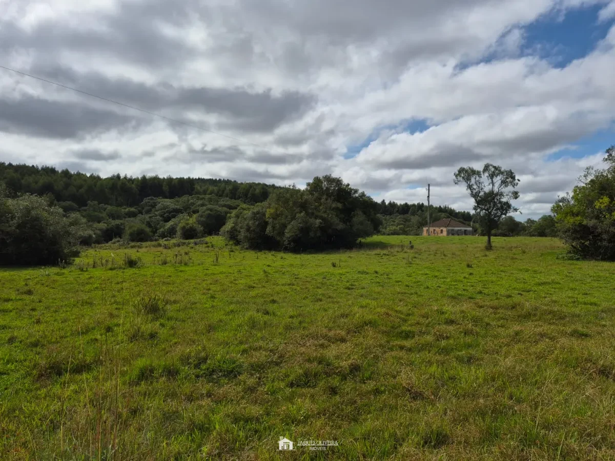 Excelente Área Rural à Venda - Zona Rural - 3° Disrito, Canguçu [3867]