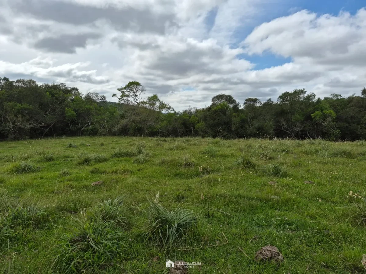 Excelente Área Rural à Venda - Zona Rural - 3° Disrito, Canguçu [3867]
