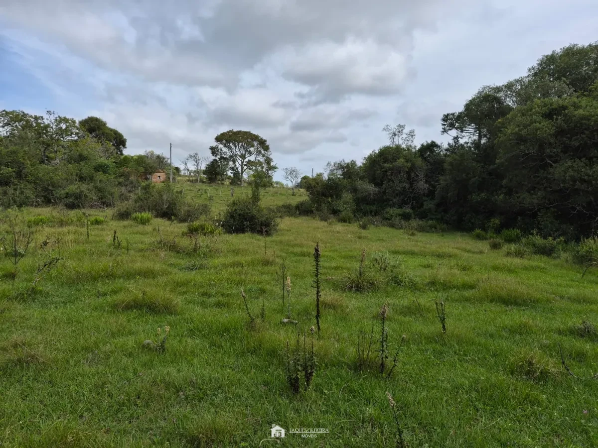 Excelente Área Rural à Venda - Zona Rural - 3° Disrito, Canguçu [3867]