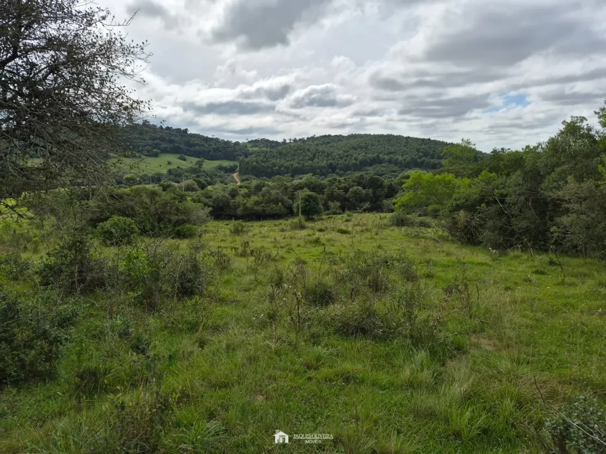 Excelente Área Rural à Venda - Zona Rural - 3° Disrito, Canguçu [3867]