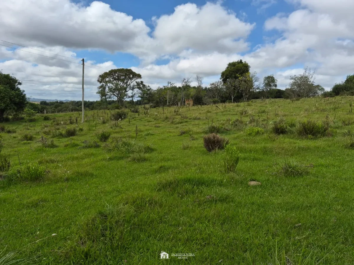 Excelente Área Rural à Venda - Zona Rural - 3° Disrito, Canguçu [3867]