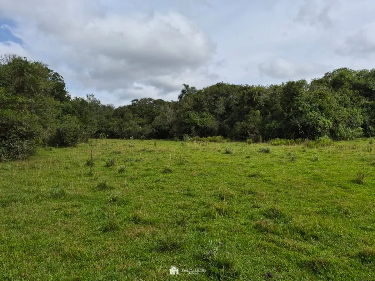 Excelente Área Rural à Venda - Zona Rural - 3° Disrito, Canguçu [3867]