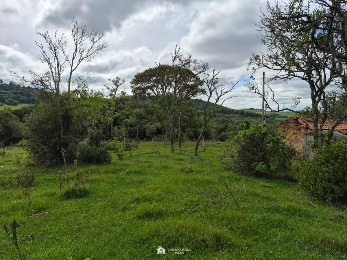 Excelente Área Rural à Venda - Zona Rural - 3° Disrito, Canguçu [3867]