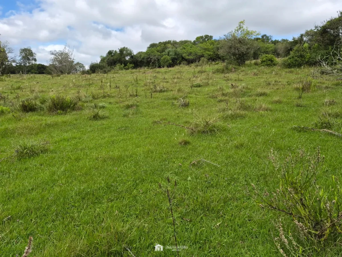 Excelente Área Rural à Venda - Zona Rural - 3° Disrito, Canguçu [3867]
