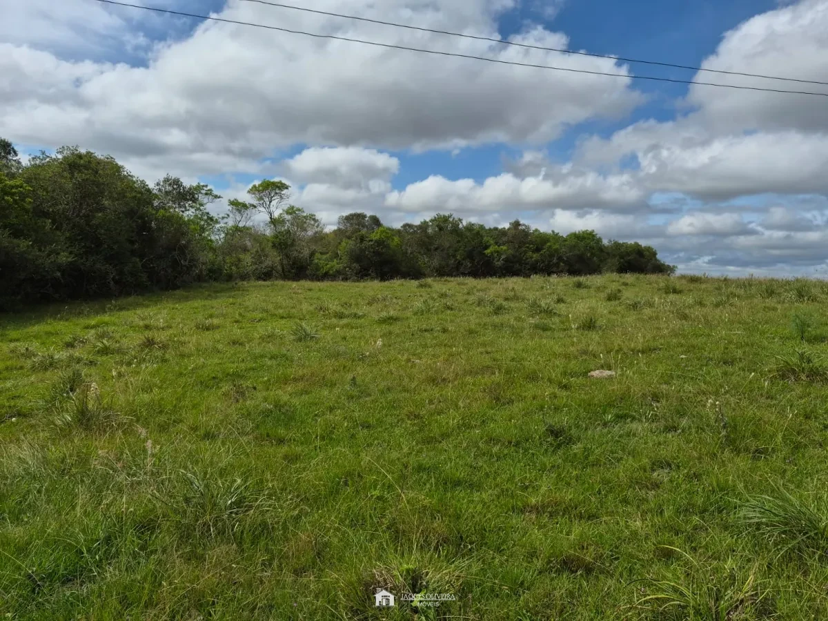 Excelente Área Rural à Venda - Zona Rural - 3° Disrito, Canguçu [3867]